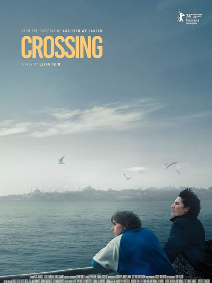 poster de Crossing Istambul