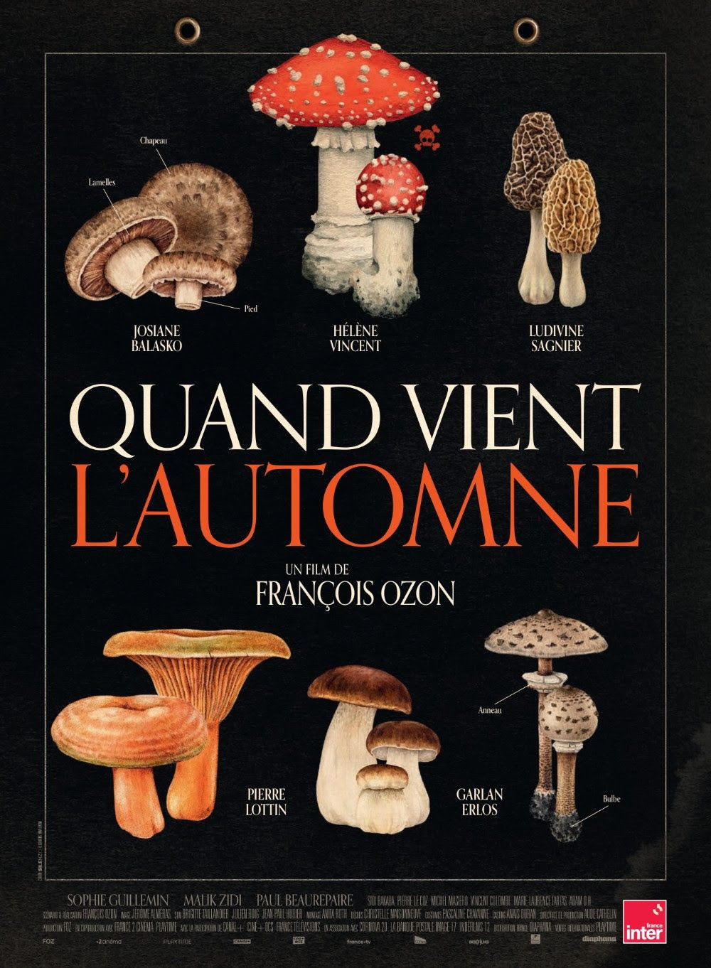 poster de Quand vient l'automne